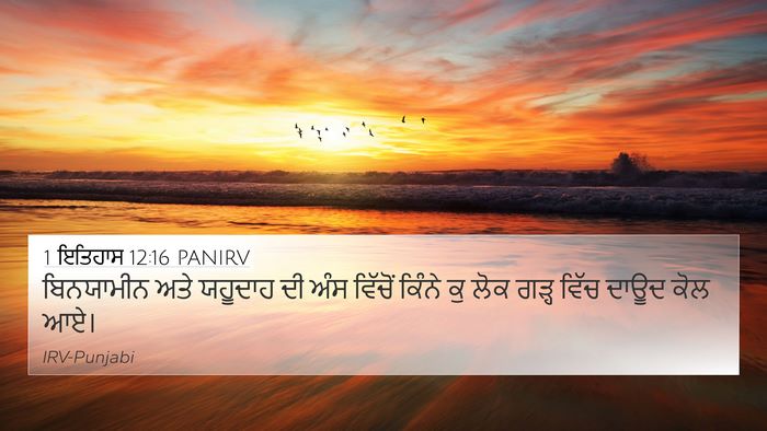 1 ਇਤਿਹਾਸ 12:16 PANIRV Bible Verse Image