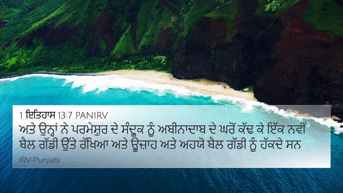 1 ਇਤਿਹਾਸ 13:7 PANIRV Bible Verse Image
