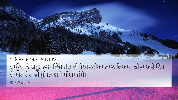 1 ਇਤਿਹਾਸ 14:3 PANIRV Bible Verse Image