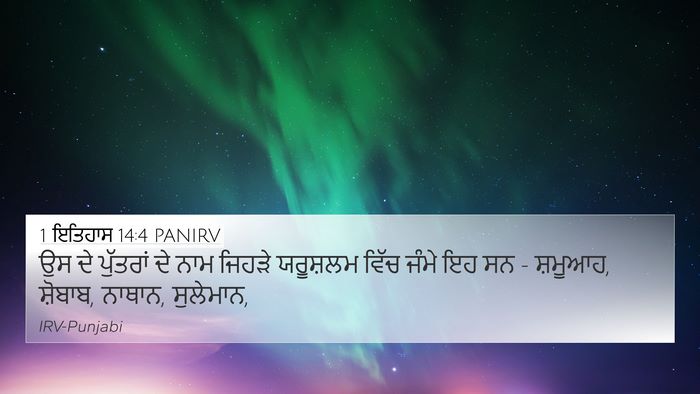 1 ਇਤਿਹਾਸ 14:4 PANIRV Bible Verse Image