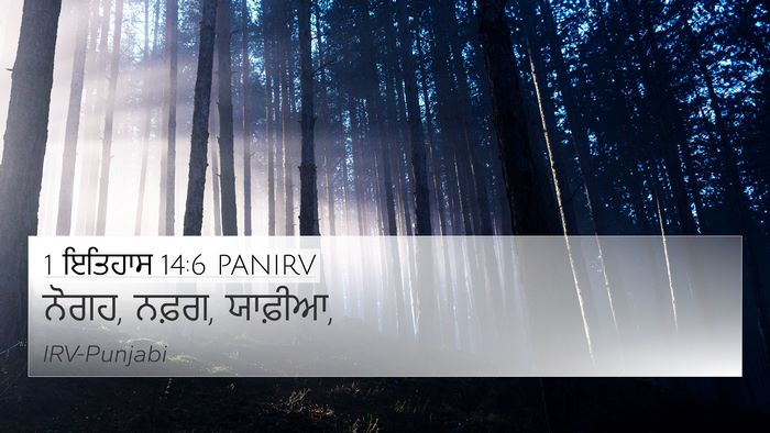 1 ਇਤਿਹਾਸ 14:6 PANIRV 4K Wallpaper - ਨੋਗਹ, ਨਫ਼ਗ, - 4K Wallpaper Bible Verse