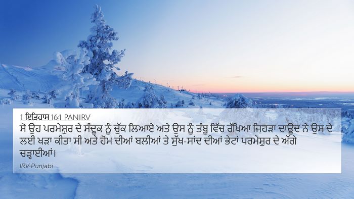 1 ਇਤਿਹਾਸ 16:1 PANIRV Bible Verse Image