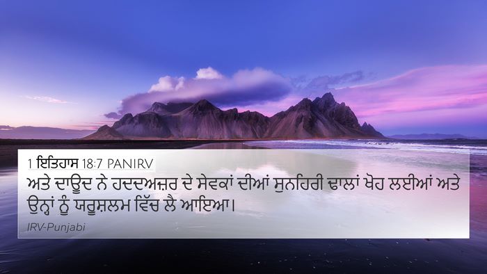1 ਇਤਿਹਾਸ 18:7 PANIRV Bible Verse Image