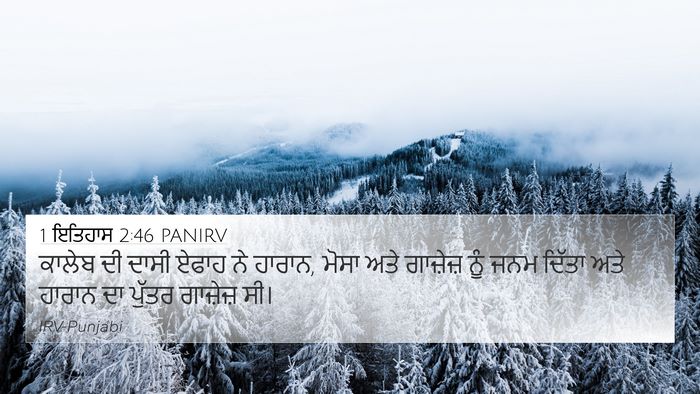 1 ਇਤਿਹਾਸ 2:46 PANIRV Bible Verse Image