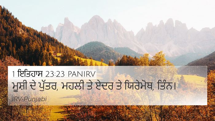 1 ਇਤਿਹਾਸ 23:23 PANIRV Bible Verse Image