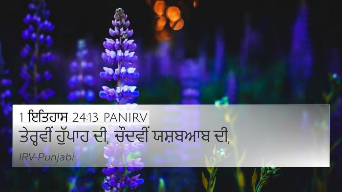 1 ਇਤਿਹਾਸ 24:13 PANIRV 4K Wallpaper - ਤੇਰ੍ਹਵੀਂ ਹੁੱਪਾਹ - 4K Wallpaper Bible Verse