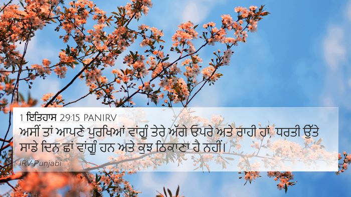 1 ਇਤਿਹਾਸ 29:15 PANIRV Bible Verse Image
