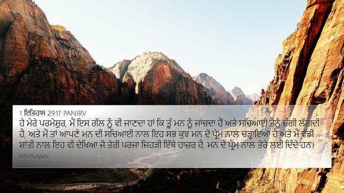 1 ਇਤਿਹਾਸ 29:17 PANIRV Bible Verse Image