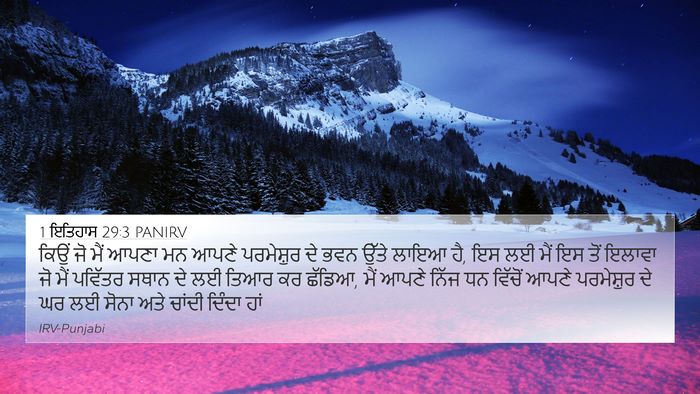 1 ਇਤਿਹਾਸ 29:3 PANIRV Bible Verse Image