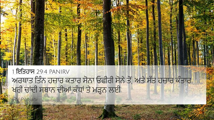 1 ਇਤਿਹਾਸ 29:4 PANIRV Bible Verse Image