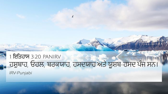1 ਇਤਿਹਾਸ 3:20 PANIRV 4K Wallpaper - ਹਸ਼ੁਬਾਹ, ਓਹਲ, - 4K Wallpaper Bible Verse