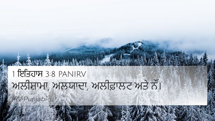 1 ਇਤਿਹਾਸ 3:8 PANIRV Bible Verse Image