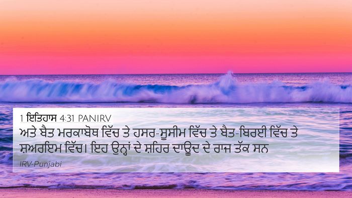 1 ਇਤਿਹਾਸ 4:31 PANIRV Bible Verse Image