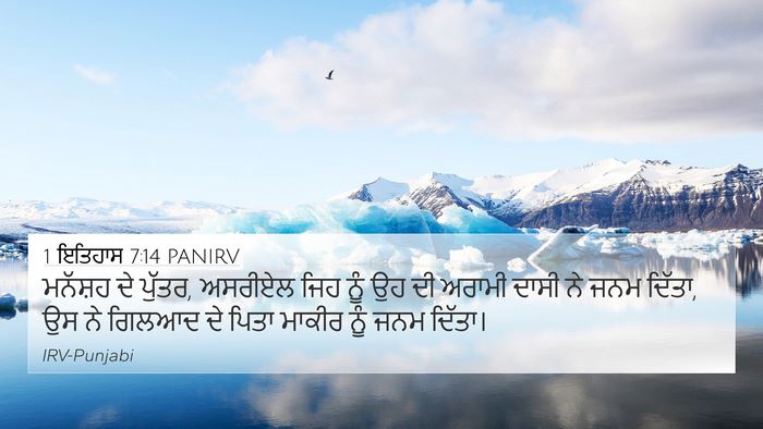 1 ਇਤਿਹਾਸ 7:14 PANIRV Bible Verse Image