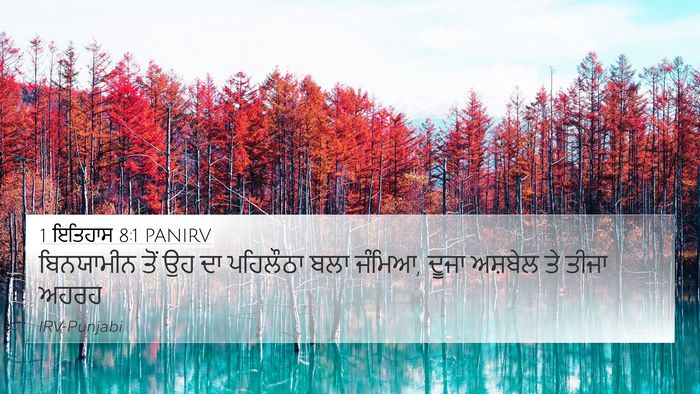 1 ਇਤਿਹਾਸ 8:1 PANIRV Bible Verse Image