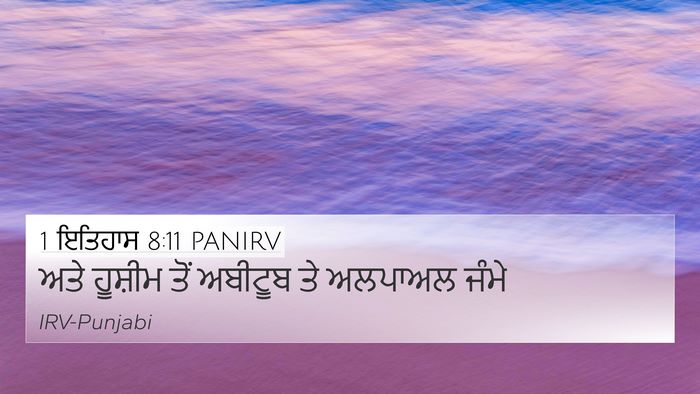 1 ਇਤਿਹਾਸ 8:11 PANIRV 4K Wallpaper - ਅਤੇ ਹੂਸ਼ੀਮ ਤੋਂ - 4K Wallpaper Bible Verse