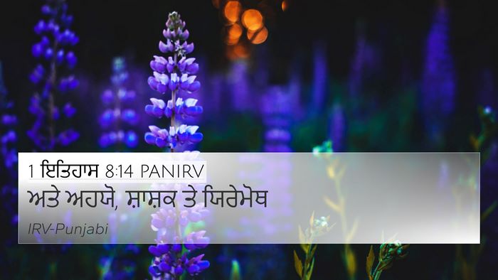 1 ਇਤਿਹਾਸ 8:14 PANIRV 4K Wallpaper - ਅਤੇ ਅਹਯੋ, ਸ਼ਾਸ਼ਕ ਤੇ - 4K Wallpaper Bible Verse