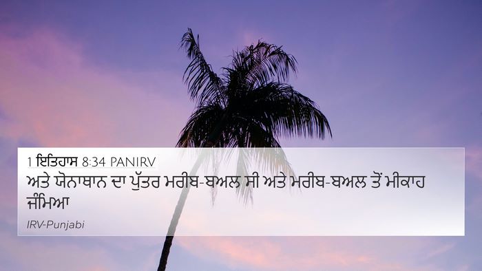 1 ਇਤਿਹਾਸ 8:34 PANIRV Bible Verse Image