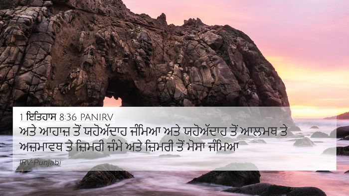 1 ਇਤਿਹਾਸ 8:36 PANIRV 4K Wallpaper - ਅਤੇ ਆਹਾਜ਼ ਤੋਂ - 4K Wallpaper Bible Verse
