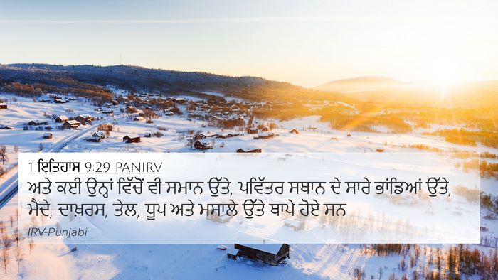 1 ਇਤਿਹਾਸ 9:29 PANIRV Bible Verse Image