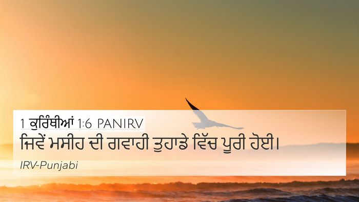 1 ਕੁਰਿੰਥੀਆਂ 1:6 PANIRV Bible Verse Image