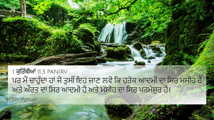 1 ਕੁਰਿੰਥੀਆਂ 11:3 PANIRV Bible Verse Image