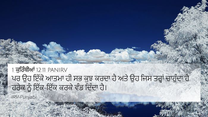 1 ਕੁਰਿੰਥੀਆਂ 12:11 PANIRV Bible Verse Image