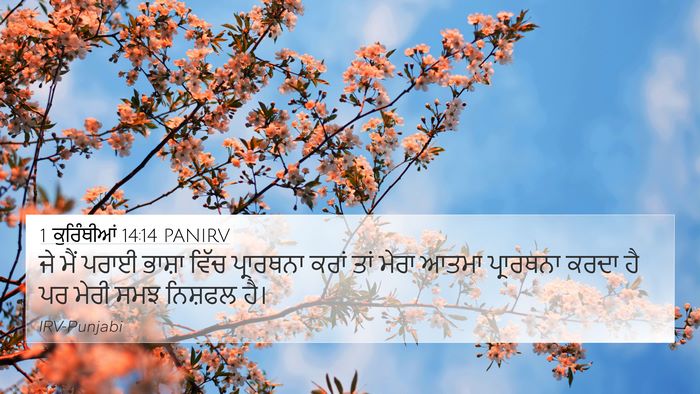 1 ਕੁਰਿੰਥੀਆਂ 14:14 PANIRV Bible Verse Image