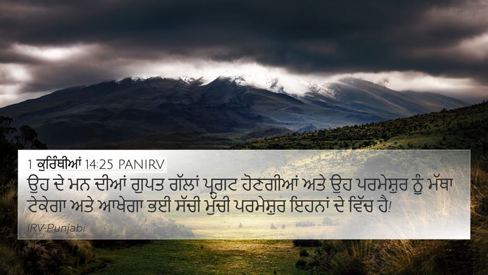 1 ਕੁਰਿੰਥੀਆਂ 14:25 PANIRV Bible Verse Image