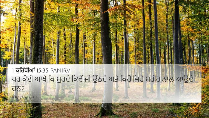1 ਕੁਰਿੰਥੀਆਂ 15:35 PANIRV Bible Verse Image
