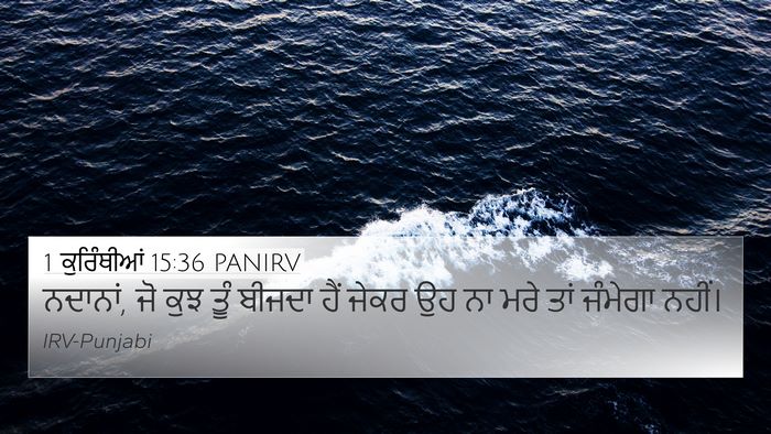 1 ਕੁਰਿੰਥੀਆਂ 15:36 PANIRV Bible Verse Image