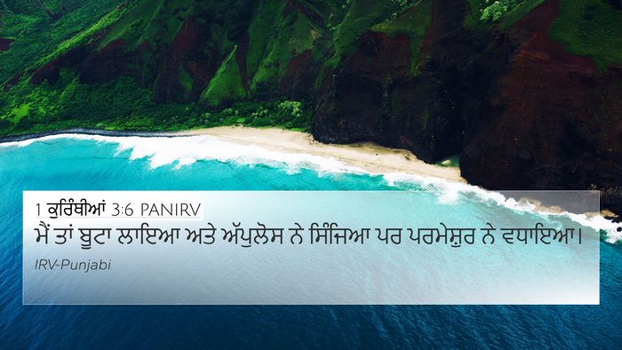 1 ਕੁਰਿੰਥੀਆਂ 3:6 PANIRV Bible Verse Image