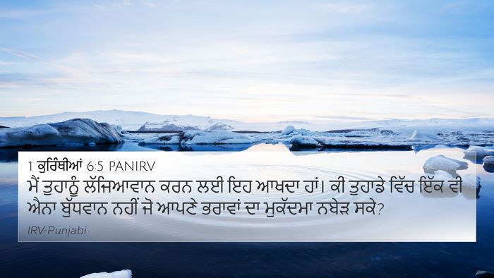 1 ਕੁਰਿੰਥੀਆਂ 6:5 PANIRV Bible Verse Image