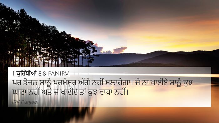 1 ਕੁਰਿੰਥੀਆਂ 8:8 PANIRV Bible Verse Image