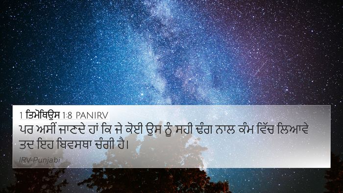 1 ਤਿਮੋਥਿਉਸ 1:8 PANIRV 4K Wallpaper - ਪਰ ਅਸੀਂ ਜਾਣਦੇ ਹਾਂ - 4K Wallpaper Bible Verse