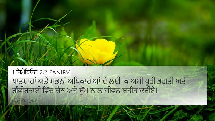 1 ਤਿਮੋਥਿਉਸ 2:2 PANIRV 4K Wallpaper - ਪਾਤਸ਼ਾਹਾਂ ਅਤੇ - 4K Wallpaper Bible Verse