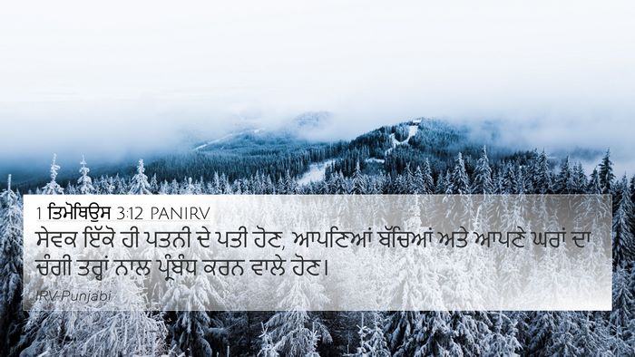 1 ਤਿਮੋਥਿਉਸ 3:12 PANIRV Bible Verse Image