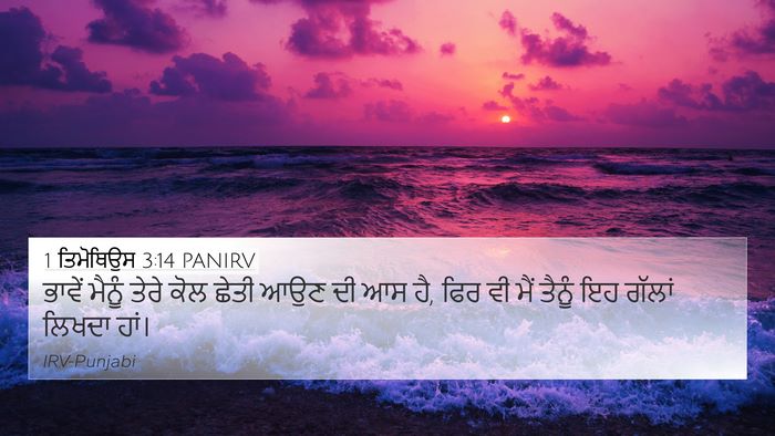 1 ਤਿਮੋਥਿਉਸ 3:14 PANIRV 4K Wallpaper - ਭਾਵੇਂ ਮੈਨੂੰ ਤੇਰੇ - 4K Wallpaper Bible Verse