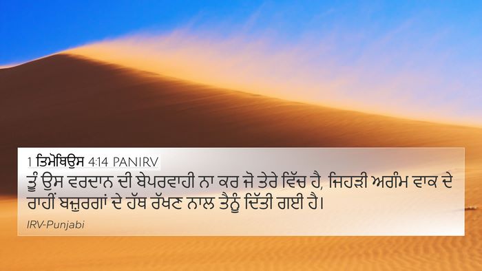 1 ਤਿਮੋਥਿਉਸ 4:14 PANIRV Bible Verse Image