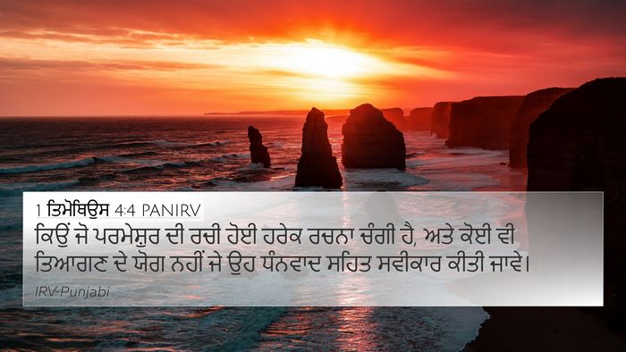 1 ਤਿਮੋਥਿਉਸ 4:4 PANIRV Bible Verse Image