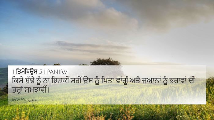 1 ਤਿਮੋਥਿਉਸ 5:1 PANIRV Bible Verse Image