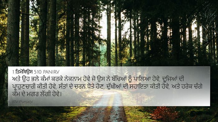 1 ਤਿਮੋਥਿਉਸ 5:10 PANIRV Bible Verse Image