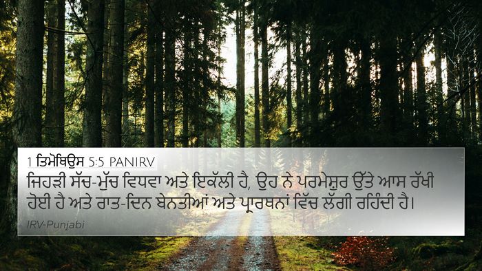 1 ਤਿਮੋਥਿਉਸ 5:5 PANIRV Bible Verse Image