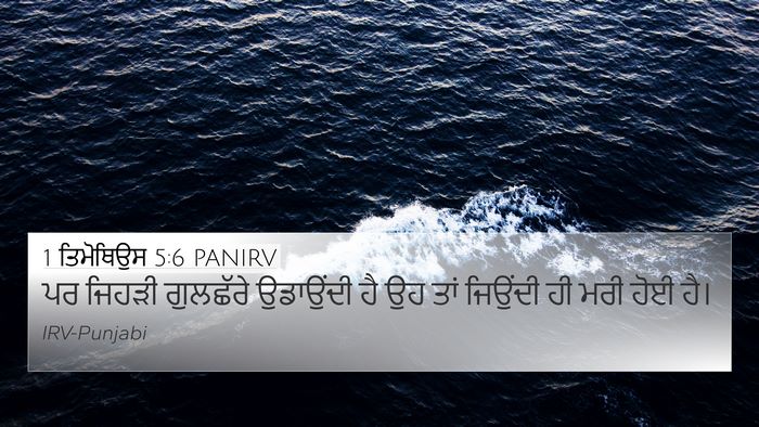 1 ਤਿਮੋਥਿਉਸ 5:6 PANIRV Bible Verse Image