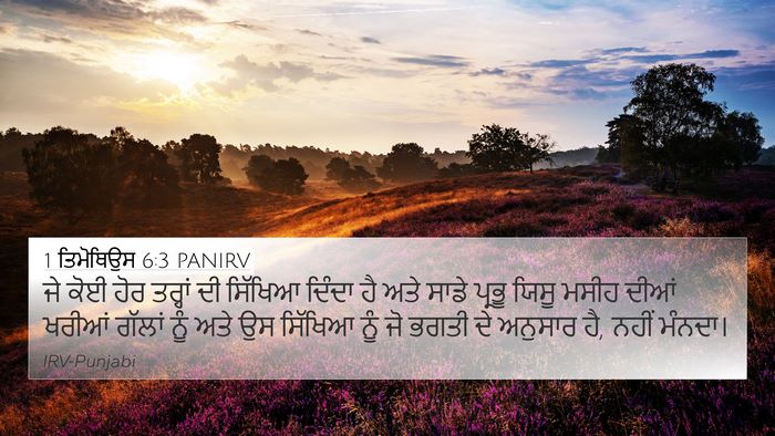 1 ਤਿਮੋਥਿਉਸ 6:3 PANIRV Bible Verse Image