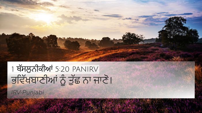 1 ਥੱਸਲੁਨੀਕੀਆਂ 5:20 PANIRV Bible Verse Image