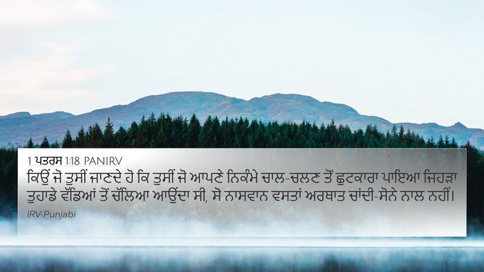 1 ਪਤਰਸ 1:18 PANIRV Bible Verse Image