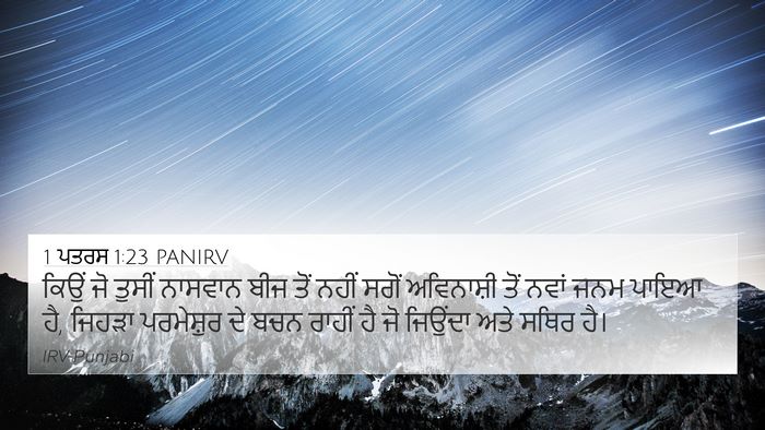 1 ਪਤਰਸ 1:23 PANIRV Bible Verse Image