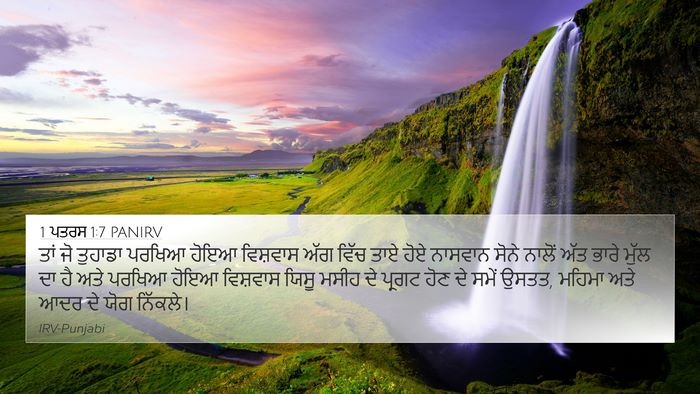 1 ਪਤਰਸ 1:7 PANIRV Bible Verse Image