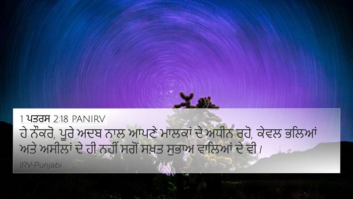1 ਪਤਰਸ 2:18 PANIRV 4K Wallpaper - ਹੇ ਨੌਕਰੋ, ਪੂਰੇ ਅਦਬ - 4K Wallpaper Bible Verse